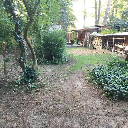 Apartment Häuschen Direkt Am See Mit Privater Sauna Und Boot